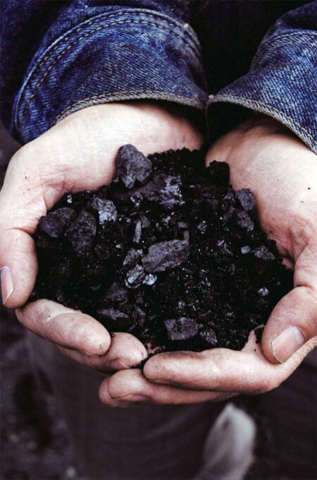 Charcoal In Skin Care Products