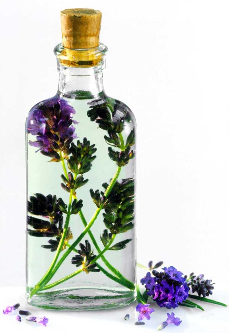 Top 10 Essential Oils