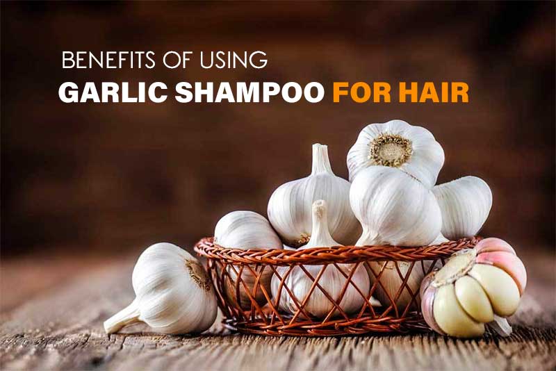 Benefits of Using Garlic Shampoo For Hair