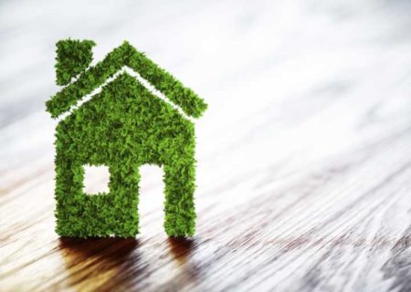 How to Go Green at Home: 7 Basic Tips