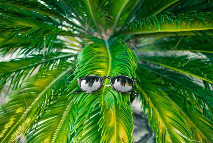 This Couple Is Helping Save Endangered Animals, One Pair Of Sunglasses At A Time