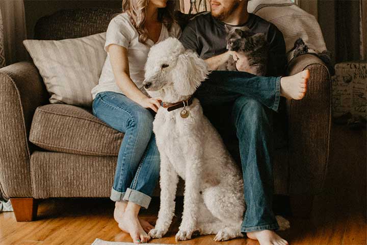 Tips for Pet Owners Moving Into a New Apartment
