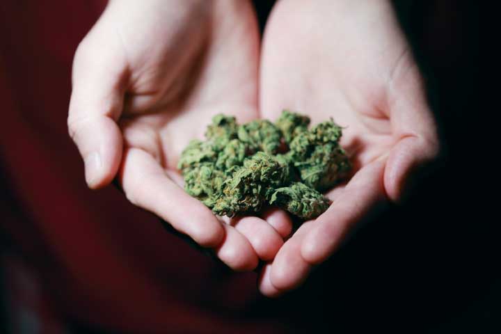 3 Important Things to Consider When Buying a Weed Grinder