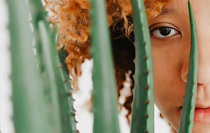 Can You Leave Aloe Vera In Your Hair Overnight