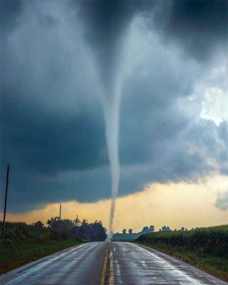 Tornado Claims