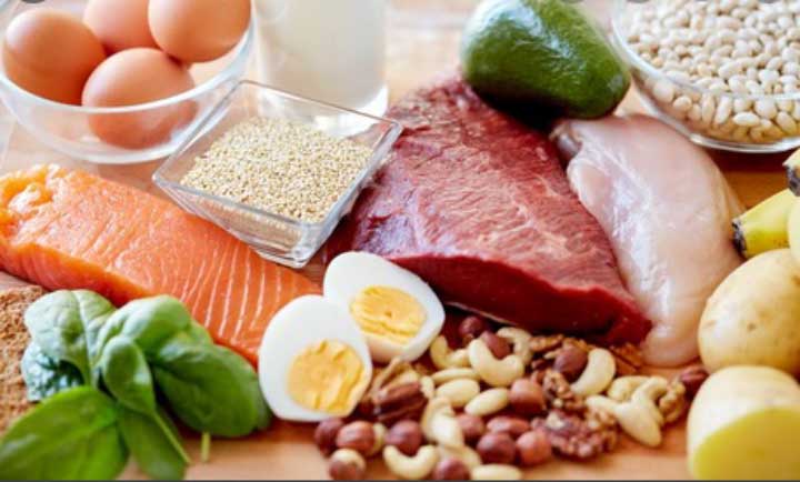 Why Are Most Grapplers Recommended High Protein Diets?