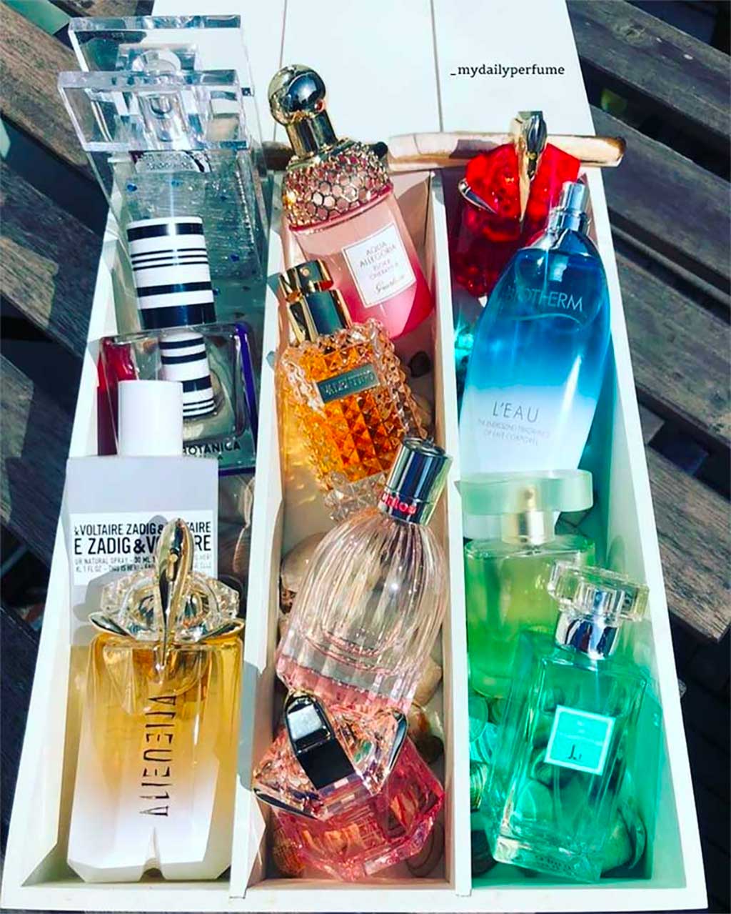 The Fragrance Newbie's Guide to Perfume Descriptions, From Bottom Notes to Top