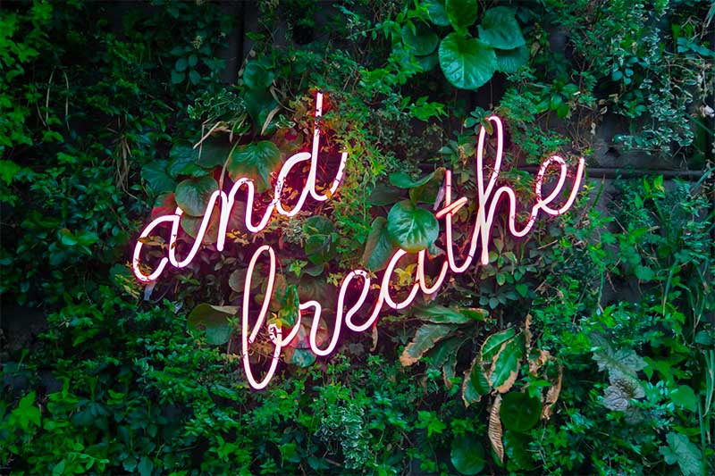 Actions You Can Take To Create an Easier Life