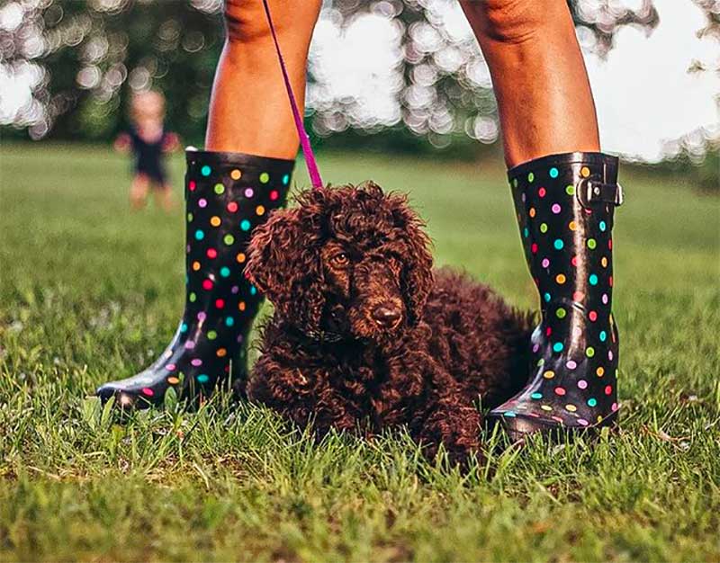 Stylish Rain Boots