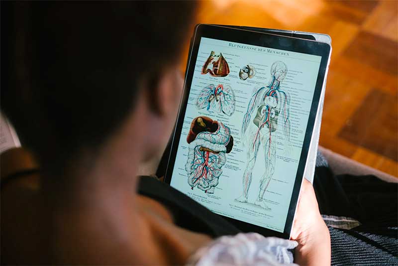 Top Jobs In Anatomy And Physiology