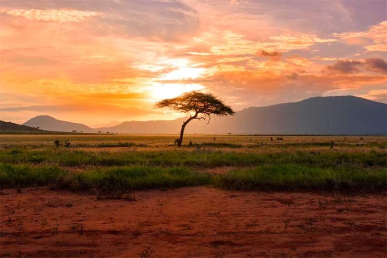 Tanzania Is the Ideal Romantic Destination These Several Reasons