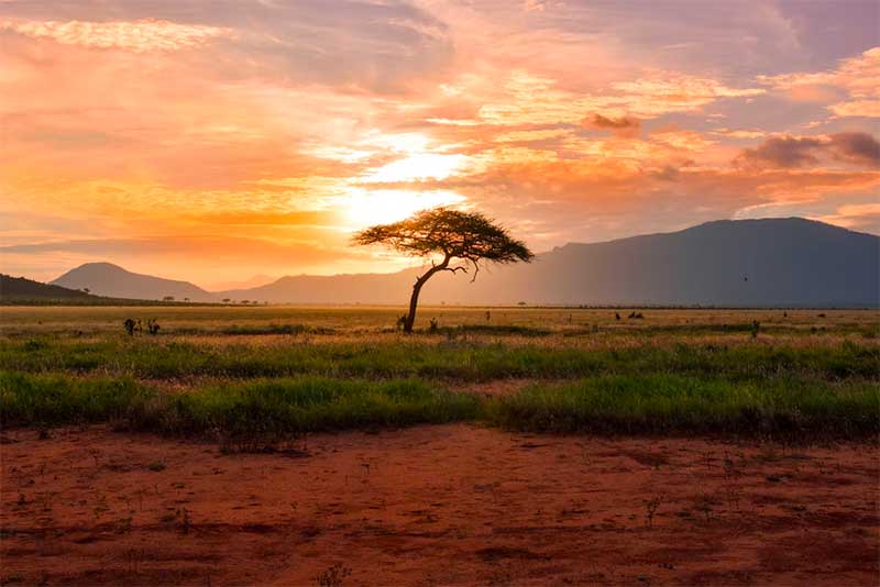 Tanzania Is the Ideal Romantic Destination These Several Reasons