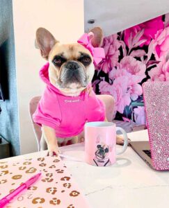 Working From Home and Staying Sane Working From Home and Staying Sane