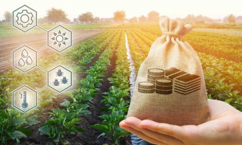 How to Find the Best Employee for Agribusiness