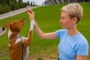 Do You Know The Right Pet For You?