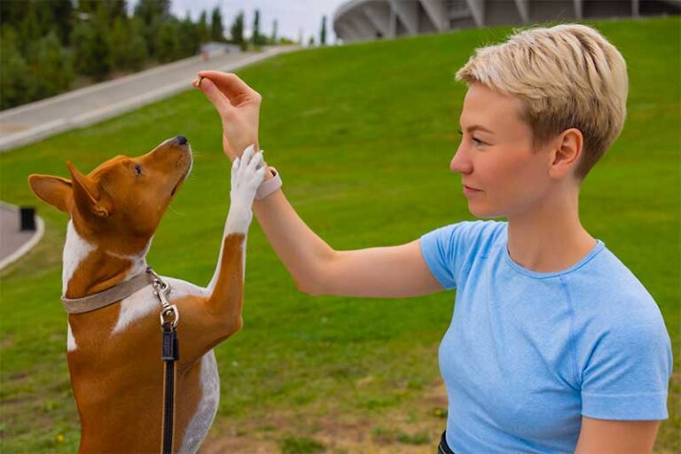 Do You Know The Right Pet For You?