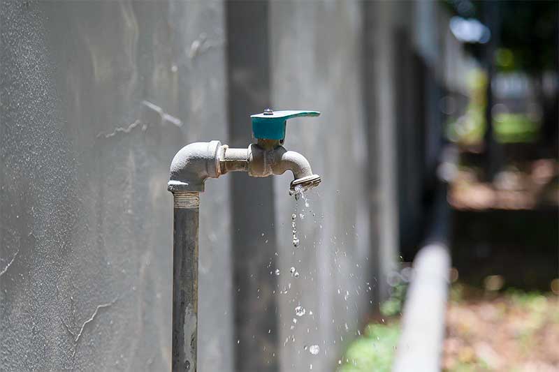 How to Conserve Water Outdoors