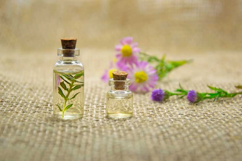 The 5 Best Winter Fragrances on The Market Right Now