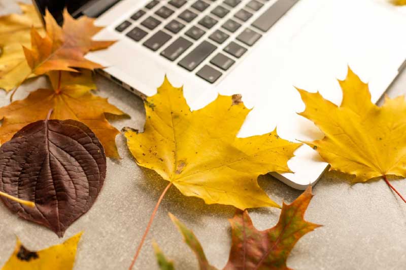 3 Types of Fashion Items You Should Buy in November