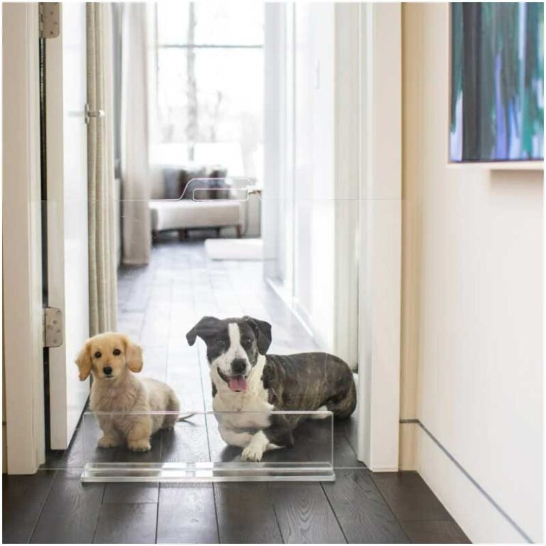 How to Find and Buy the Best Quality Dog Gate for Your Home