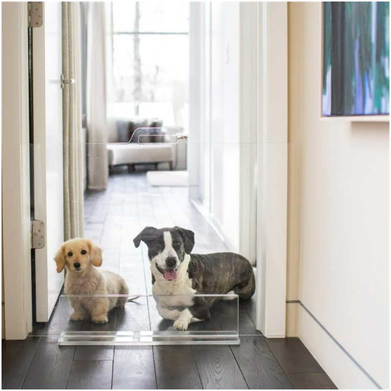 How to Find and Buy the Best Quality Dog Gate for Your Home