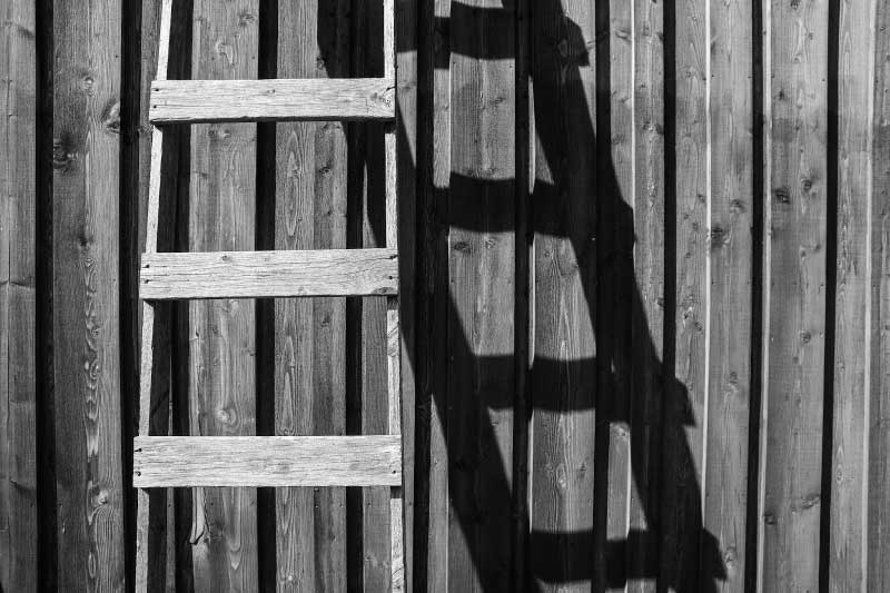 Find the Type of Ladders Available in the Market