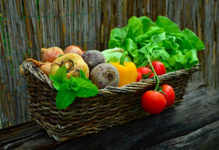 From Fashion to Food: 5 Ways to Go Organic