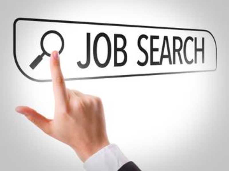 Network Your Way to Getting the Perfect Job