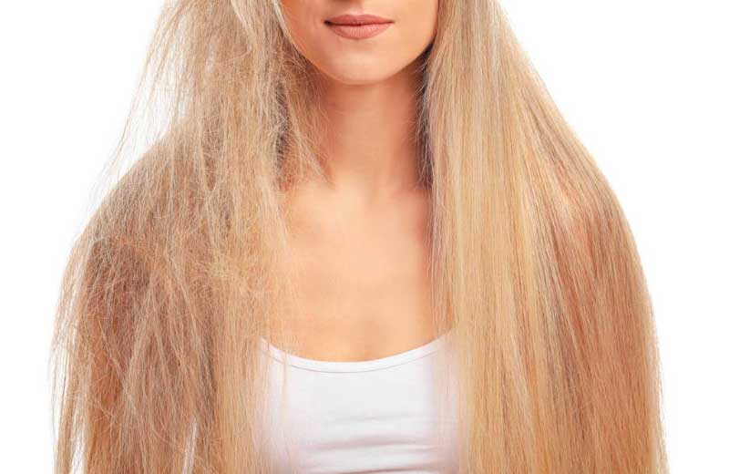 The Mysterious Charm of Dark Hair Colors