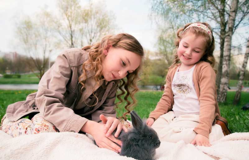 How To Bond With Your Rabbit
