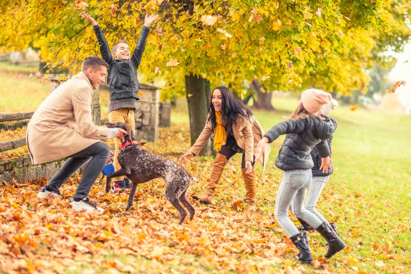 The Benefits of Outdoor Activities with Your Pet and Family