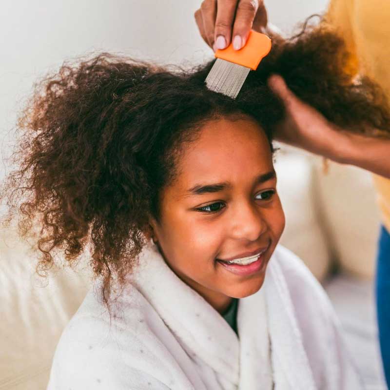 The Lice Clinic - Highest Rated Lice Removal Service
