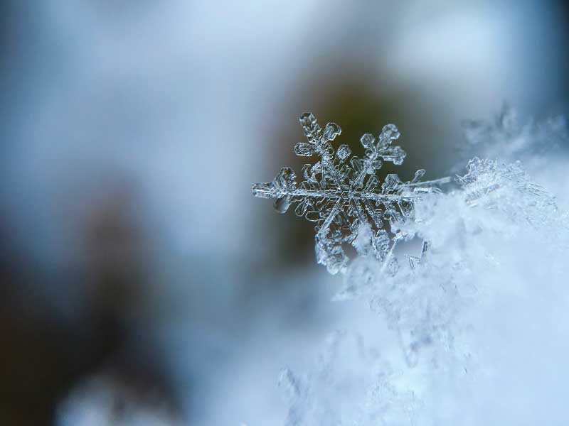 Combatting the Cold Weather Blues