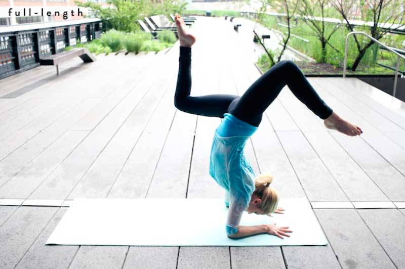 Dear Kate Yoga Pants