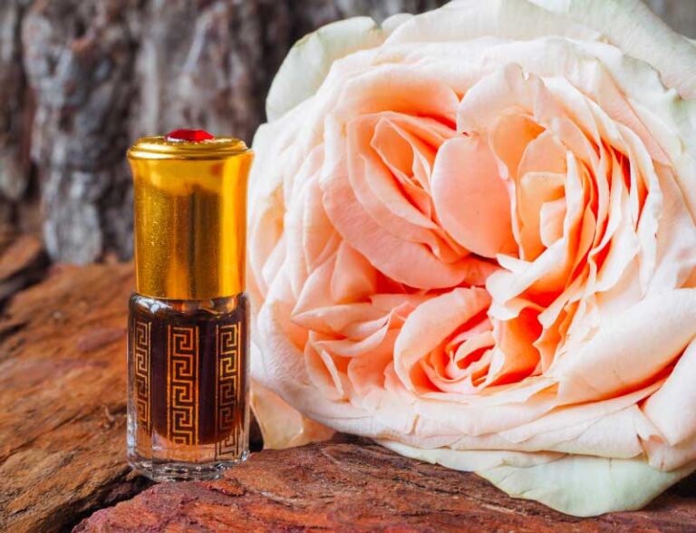 The History of Fougère Fragrances