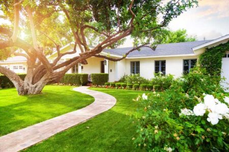5 Easy Ways To Spruce Up Your Yard