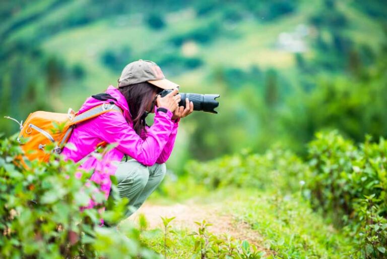 4 Destinations for Wildlife Photographers Within Easy Access from Europe