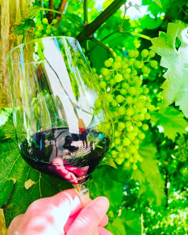 The Health Benefits of Red Wine