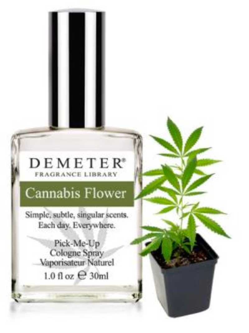I Wore Weed-Scented Perfume For A Week, And Here’s What Happened