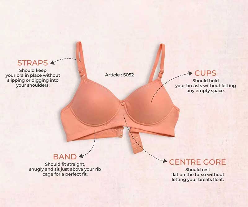 Bra Anatomy