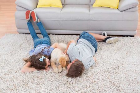 Why is it important to deep clean all carpets in your property after the end of your tennant's term