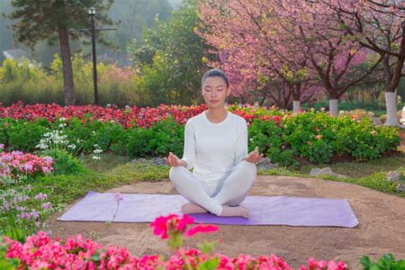 A Journey to Yoga Retreats in Japan