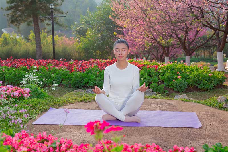 A Journey to Yoga Retreats in Japan