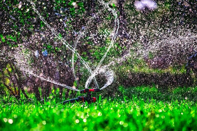 The Power of Custom Irrigation Services