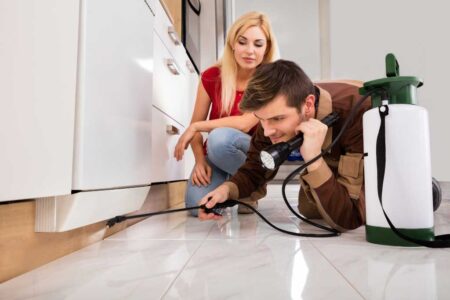 Effective Termite Control Strategies to Minimize Property Damage