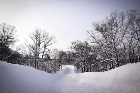 Niseko Hotel: Experience Unmatched Comfort and Hospitality in Hokkaido