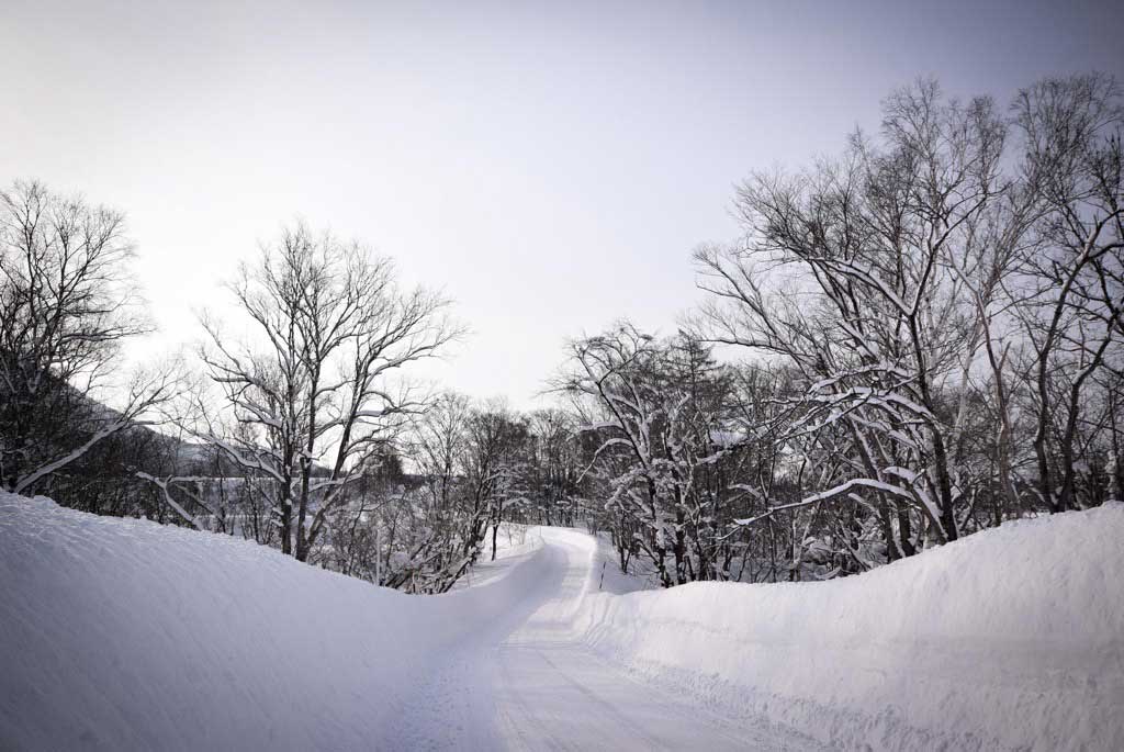 Niseko Hotel: Experience Unmatched Comfort and Hospitality in Hokkaido