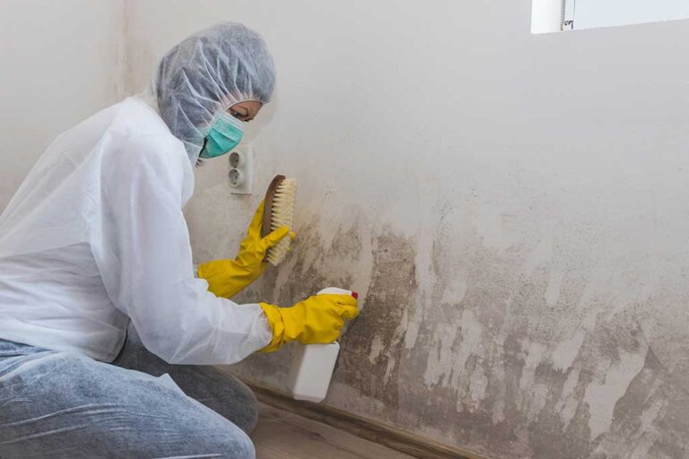Why Hire Professionals for Mold Remediation: Process and Advantages
