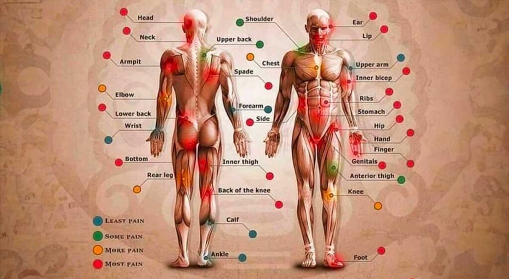 Ultimate Guide to Tattoo Pain Chart: Accuracy, Body Parts, Pain Levels
