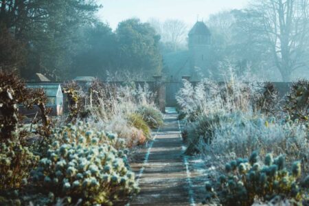 Making the Most of Your Outdoor Space Year-Round